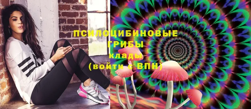 это какой сайт  мега tor  Псилоцибиновые грибы Psilocybe  Чишмы  купить  